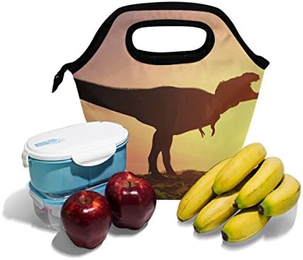 HEOEH Danger Dinosaur Sundown torba za ručak hladnjača izolovana kutija za ručak sa patentnim zatvaračem torba za školski ured na otvorenom