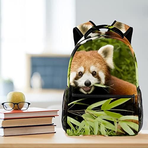 Slatki crveni panda ruksaci dječaci Djevojke školske knjige torbe za planinarenje Pješački kamp dnevni boravak ruksack