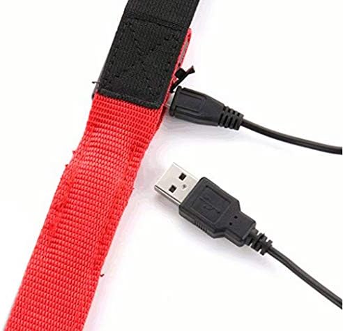 Blinkee punjivi crveni LED tregeri USB