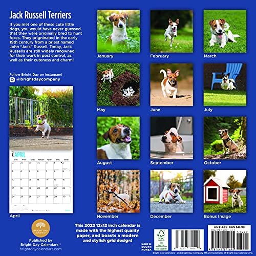 2022 Jack Russell Terriers Zidni kalendar sa vedrim danom, 12 x 12 inča, slatkog psa štene
