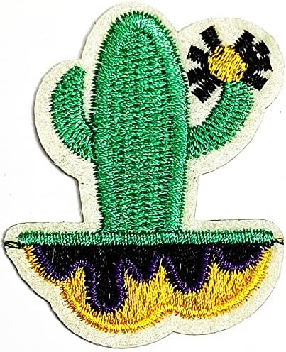 Rafeeasy Patch slatka lijepa pustinjska cvijeća crtani diy vezena šiva glačala na patch šivaći značku Signi logo jakne torbe hat traperice