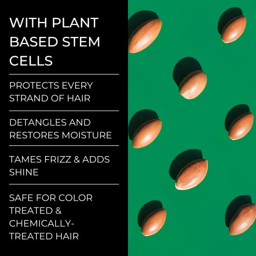 Alevai regenerator protiv peruti matičnih ćelija / tretman svrbeža vlasišta / siguran za boju i hemijski tretiranu kosu | 2 posto