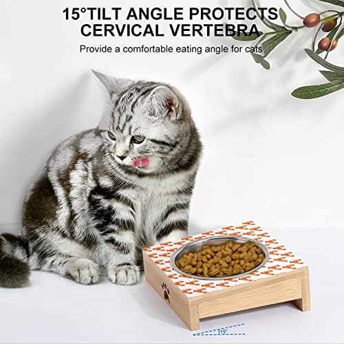 Slatka Zdjela za mačke jastoga od nerđajućeg čelika protiv povraćanja hranilica za kućne ljubimce slatki set zdjela 15° nagnut sa
