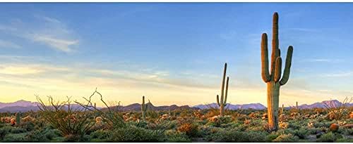 AWERT 24x16 inča pozadina terarija plavo nebo planina ogroman kaktus Sunce i Gobi stanište gmizavaca pozadina vinil