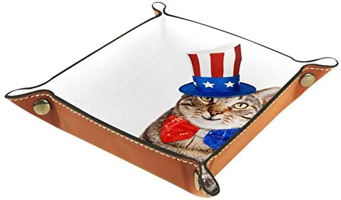 Lorvies Funny American Patriot CAT CAT Cube Korpa košara Košara za kante za uredski dom