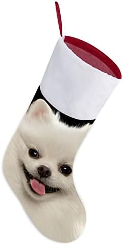 Bijeli Spitz Dog crveni božićni čarapa Naslovnica Domaća ukrasi za Xmas Tree Kamin Viseće čarape