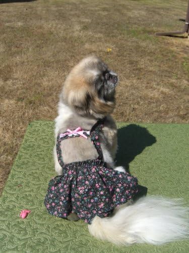 Joybies Velika cvjetna suknja za piddle za ženski pas