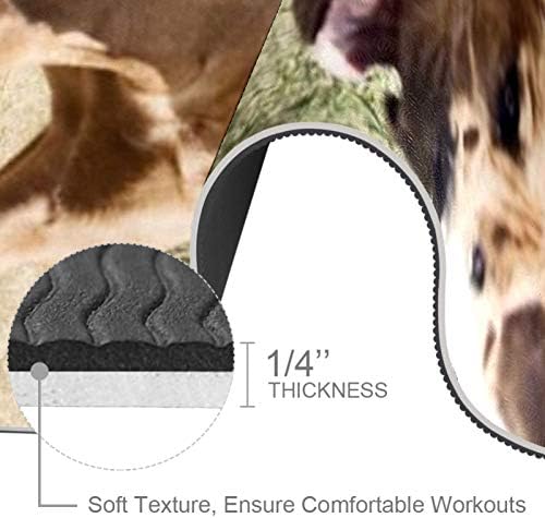 Siebzeh Rodezijski Ridgeback pas Premium Thick Yoga Mat Eco Friendly Rubber Health & amp; fitnes non Slip Mat za sve vrste vježbe