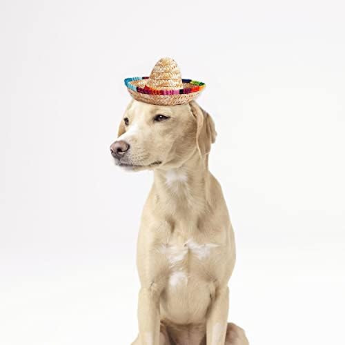 Luda noć 6kom Mini slamnati šeširi Meksički ukrasi mali Sombrero šeširi za Fiesta Party Cinco de Mayo Supplies