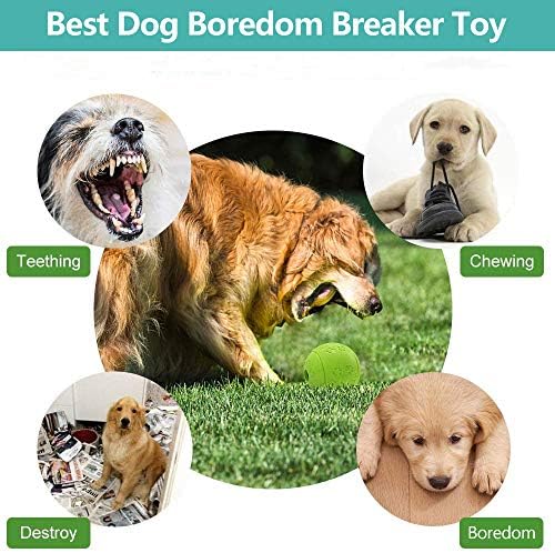 Pas puzzle kuglice za kuglice za kuglice za pročišćavanje liječenica za 2-pasa - srednje pasmine štenete pas agresivne igračke za