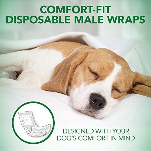 Veterina najbolja udobnost Fit jednokratna pelena za pse | Apsorbiran muški omotači sa dovodom curenja | Mala, 30koko