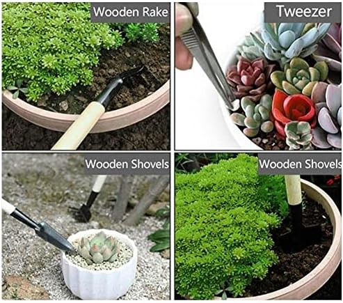 5 postavlja Mini vrt ruku sočno presađivanje alata, raste sadnice sjetva vrtlarstvo Punching ručni komplet za unutrašnju vrtlarstvo