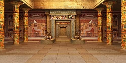 Aofoto 20x10ft egipatski hram Hipostilna dvorana pozadina Vinilna Arheologija Zlatna Egipatska palata sa hijeroglifskim zidnim Muralnim pozadinom za fotografiju Travel Photo Booth rekviziti Poster