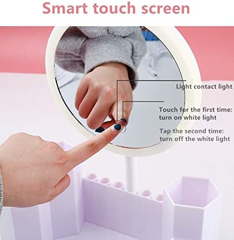 Liuzh LED Makeup ogledala sa pozadinskim osvetljenjem sa 3 režima Light Touch Dimme Desktop sa kutijom za odlaganje ogledala za punjenje