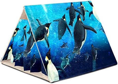 Gvineja svinjska kuća, kunić Veliki skrovište, male životinje gnijezdo hrpster kavezni staništa podvodni okeansko more pingvin