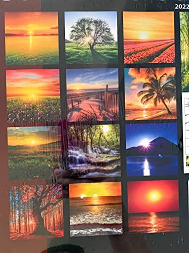 Trgovina na malo Čeličnim paungalnim - 2022 sunca i zalasci 12 mjeseci Zidni kalendar 12-inčni tropskih šuma Heartland Cvijeće