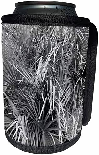 3Droza ventilator palma za fronds greyscale apstraktno monotone. - Može li se hladnije flash omotati