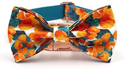 Generički personalizirani ovratnik za pse Hawaii cvjetni uzorak ovratnik za pse i povodac set luksuznog dizajnera Bowtie ogrlica za